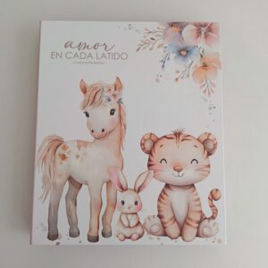 Carpeta Pediátrica CPE04 (Niña)